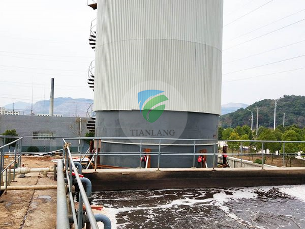 Wuxue Xuri Chemical Co., Ltd. Chemical Wastewater Treatment Project