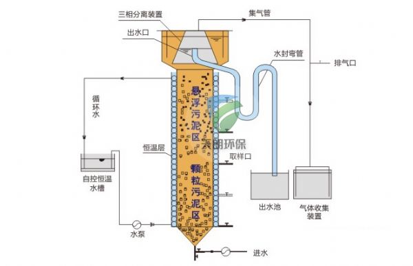 Uasb anaerobic reactor